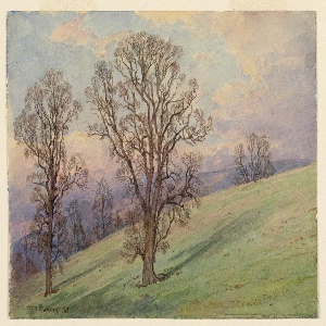 Drawing (USA)