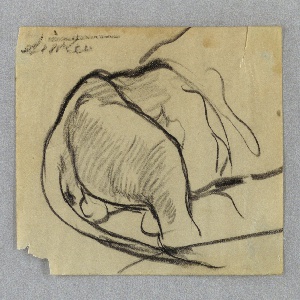 Drawing (USA)