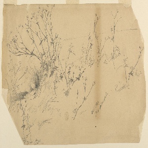 Drawing (USA)