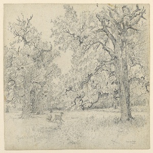 Drawing (USA)