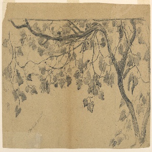 Drawing (USA)