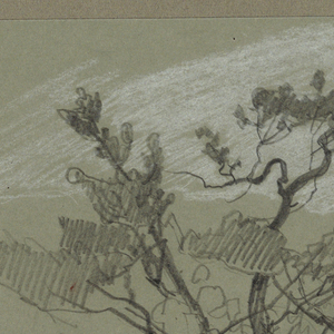 Drawing (USA)