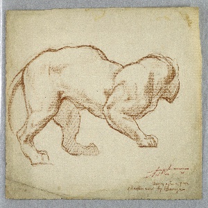 Drawing (USA)
