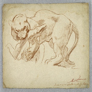 Drawing (USA)
