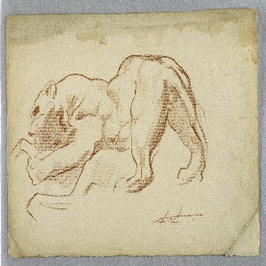 Drawing (USA)