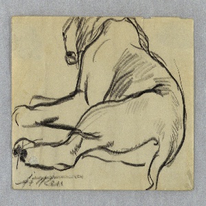 Drawing (USA)