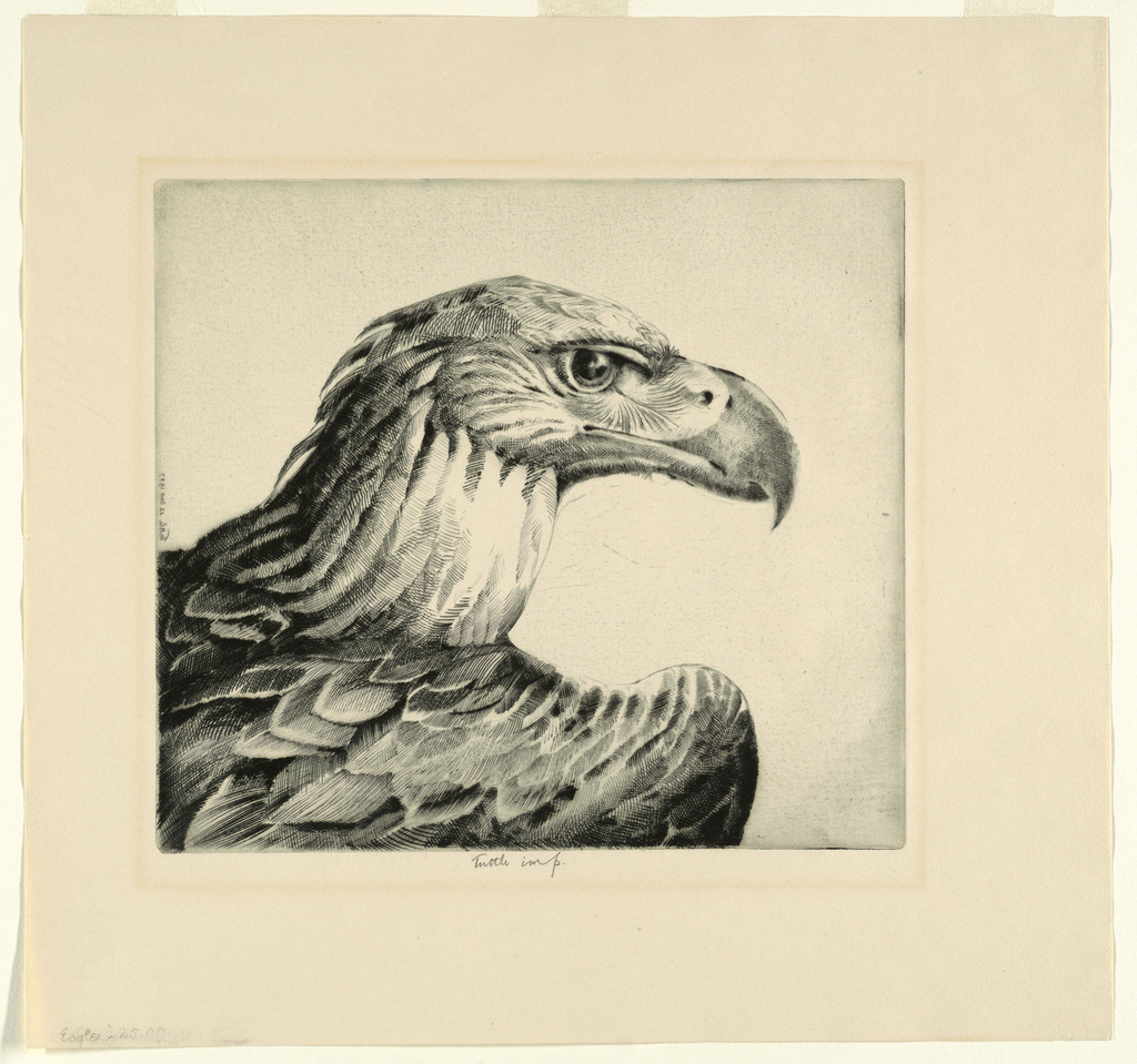 Print, Eagle