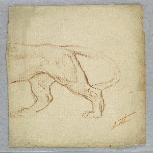 Drawing (USA)