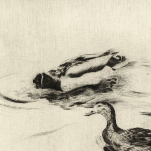 Print (USA)
