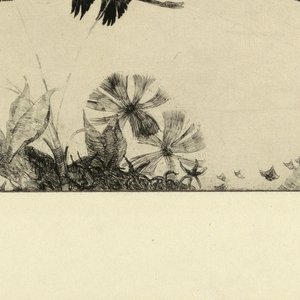 Print (USA)