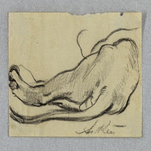 Drawing (USA)