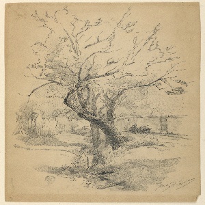 Drawing (USA)