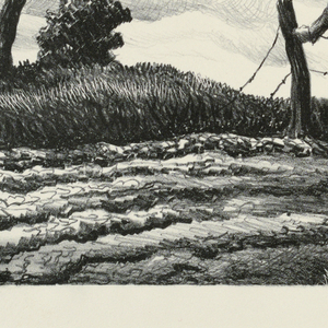 Print (USA)