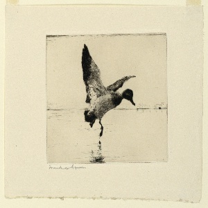 Dry Point