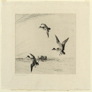 Drypoint