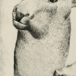 Print (USA)