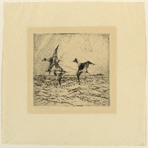 Print (USA)