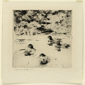 Drypoint