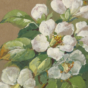 Drawing (USA)