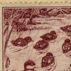 Print (USA)