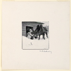 Reproduction (USA)