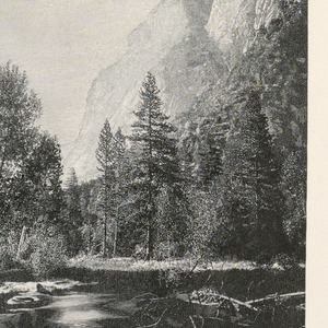 Print (USA)