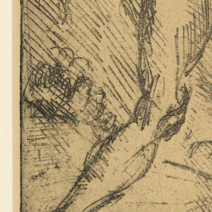 Print (USA)