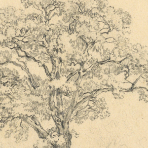 Drawing (USA)