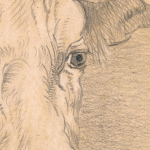 Drawing (USA)