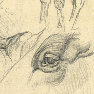 Drawing (USA)