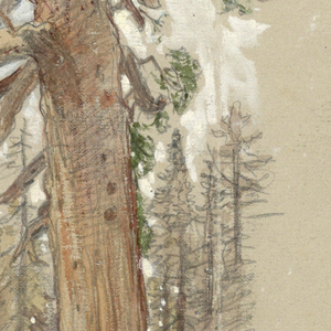 Drawing (USA)