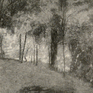 Print (USA)