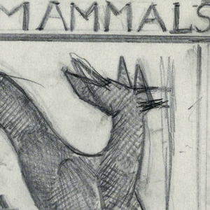 Drawing, Small mammals