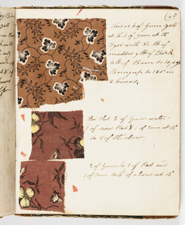 Dyer's Record Book (USA)