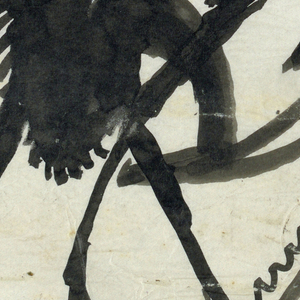 Drawing, Antelope and pronghorn