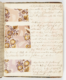 Dyer's Record Book (USA)