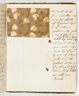 Dyer's Record Book (USA)