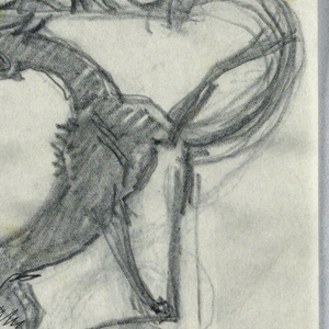 Drawing, Carnivors: wolves
