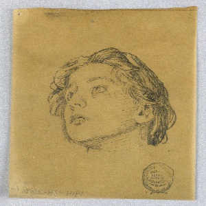 Drawing (USA)