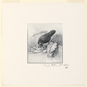 Reproduction (USA)