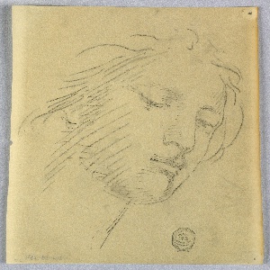Drawing (USA)