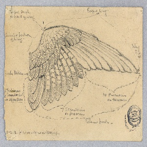 Drawing (USA)