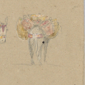 Drawing (USA)