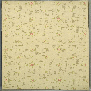 Ceiling (USA), 1905–15