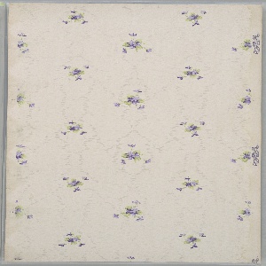 Ceiling Paper (USA), 1875–1925