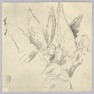 Drawing (USA)