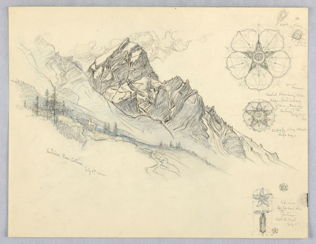 Drawing, Antelao, From Cortina, with Studies of Flowers