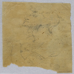 Drawing (USA)
