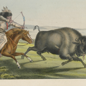 Print, Hunting the Buffalo