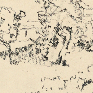 Drawing (USA)